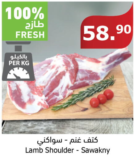  Mutton / Lamb  in الراية in مملكة العربية السعودية, السعودية, سعودية - المدينة المنورة