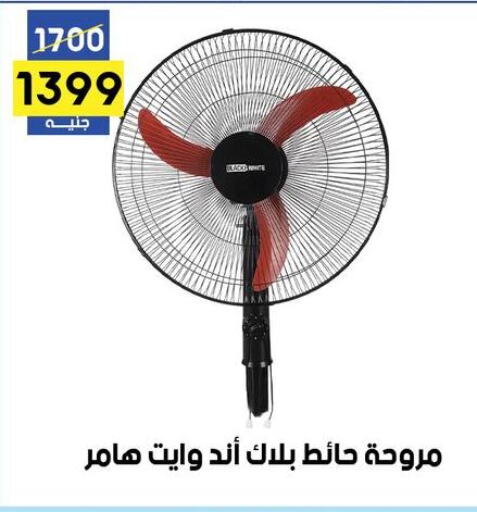 Fan  in جراب الحاوى in Egypt - القاهرة