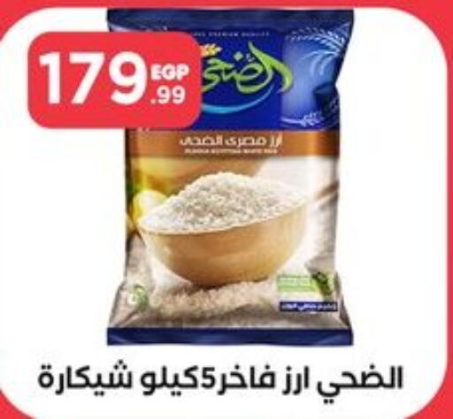  Egyptian / Calrose Rice  in المحلاوي ستورز in Egypt - القاهرة