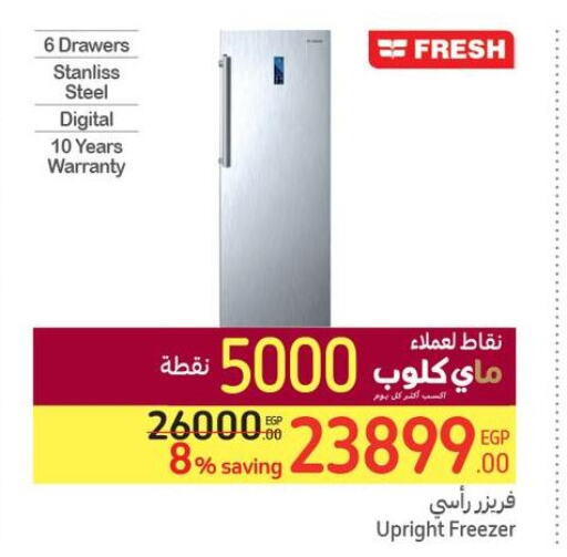 FRESH Freezer  in Carrefour  in Egypt - Cairo