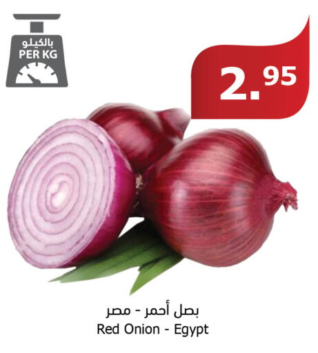  Onion  in Al Raya in KSA, Saudi Arabia, Saudi - Khamis Mushait