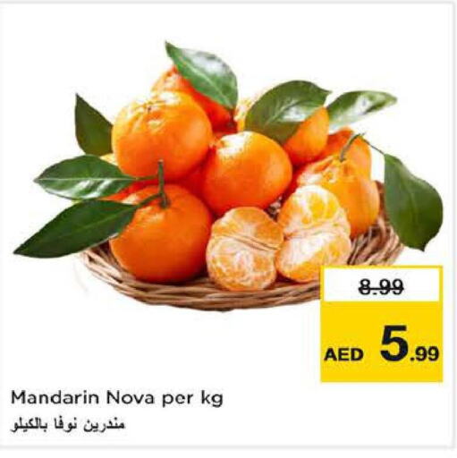  Orange  in لاست تشانس in الإمارات العربية المتحدة , الامارات - ٱلْفُجَيْرَة‎