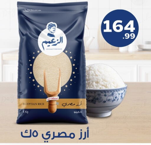  Egyptian / Calrose Rice  in المحلاوي ستورز in Egypt - القاهرة