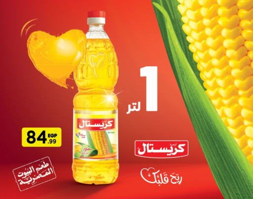  Corn Oil  in المحلاوي ستورز in Egypt - القاهرة