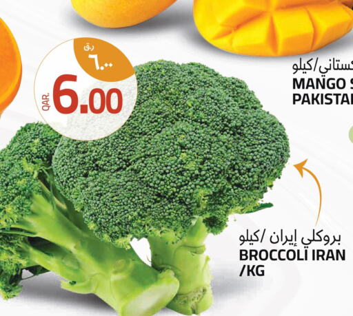  Broccoli  in Kenz Mini Mart in Qatar - Al-Shahaniya