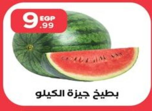  Watermelon  in المحلاوي ستورز in Egypt - القاهرة
