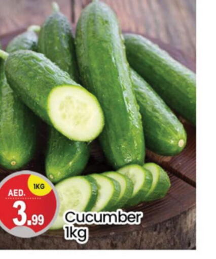  Cucumber  in سوق طلال in الإمارات العربية المتحدة , الامارات - دبي