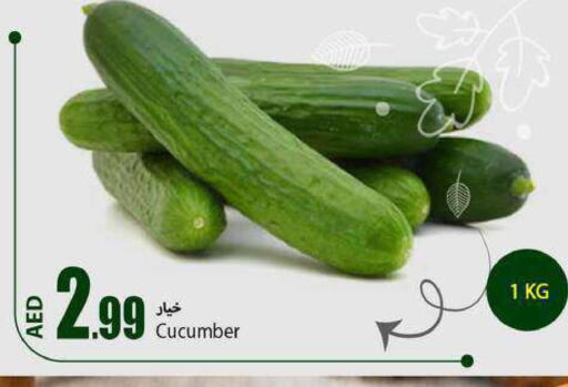  Pickle  in  روابي ماركت عجمان in الإمارات العربية المتحدة , الامارات - الشارقة / عجمان