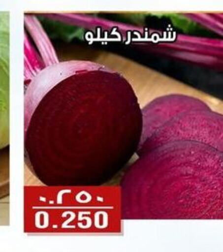 Beetroot  in Al Fintass Cooperative Society  in Kuwait - Kuwait City