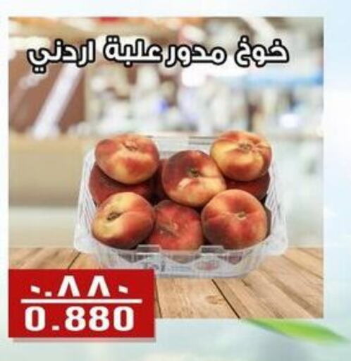  Apples  in Al Fintass Cooperative Society  in Kuwait - Kuwait City