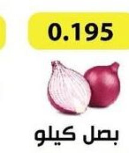  Onion  in جمعية الجهراء التعاونية in الكويت - محافظة الجهراء