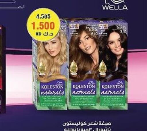 WELLA Hair Colour  in  Adailiya Cooperative Society in Kuwait - Jahra Governorate