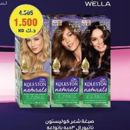 WELLA Hair Colour  in  Adailiya Cooperative Society in Kuwait - Jahra Governorate