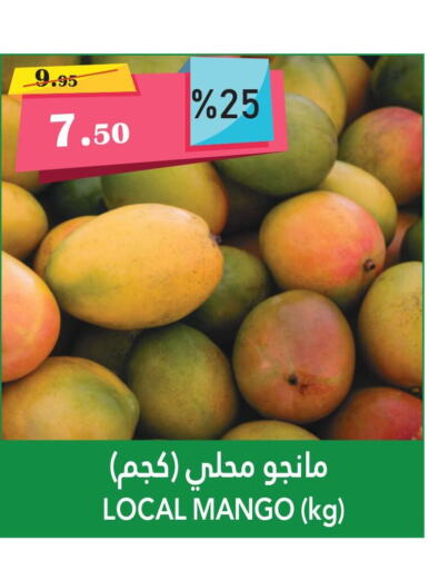 Mango Mango  in Khair beladi market in KSA, Saudi Arabia, Saudi - Yanbu