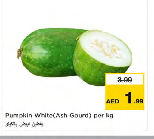  Gourd  in نستو هايبرماركت in الإمارات العربية المتحدة , الامارات - الشارقة / عجمان