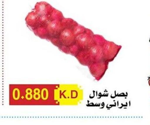  Onion  in Hadiya CO-OP Society in Kuwait - Ahmadi Governorate
