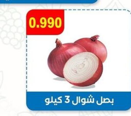  Onion  in Sabah Al-Ahmad Cooperative Society in Kuwait - Ahmadi Governorate