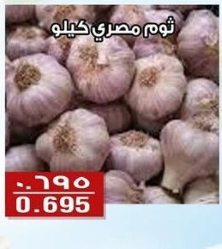  Garlic  in Al Fintass Cooperative Society  in Kuwait - Kuwait City