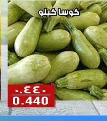  Zucchini  in Al Fintass Cooperative Society  in Kuwait - Kuwait City