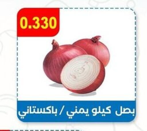  Onion  in جمعية مدينة صباح الأحمد التعاونية in الكويت - محافظة الجهراء