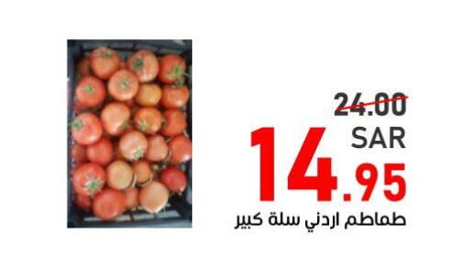  Tomato  in أسواق جرين أبل in مملكة العربية السعودية, السعودية, سعودية - الأحساء‎