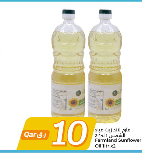 Sunflower Oil  in سيتي هايبرماركت in قطر - الريان