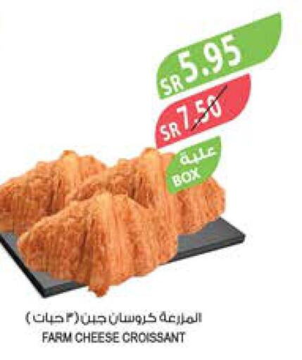  Bread Crumbs  in المزرعة in مملكة العربية السعودية, السعودية, سعودية - الرياض