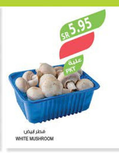  Mushroom  in المزرعة in مملكة العربية السعودية, السعودية, سعودية - الخفجي