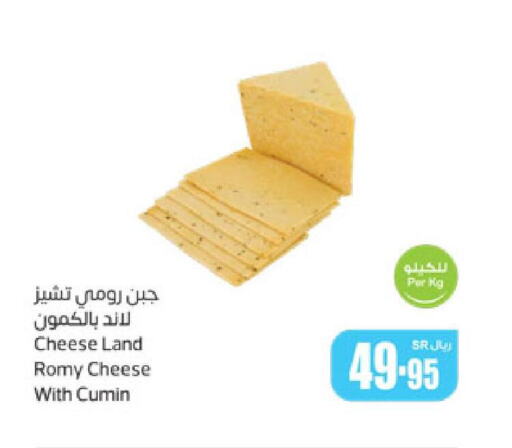  Roumy Cheese  in أسواق عبد الله العثيم in مملكة العربية السعودية, السعودية, سعودية - جازان