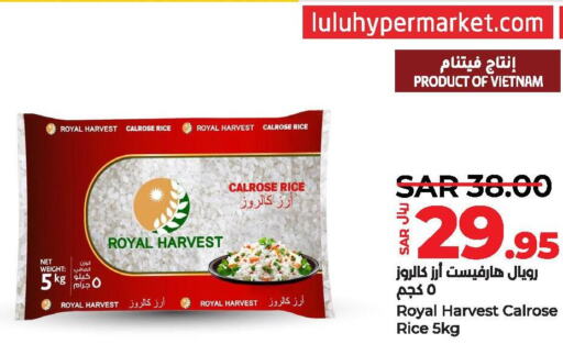  Egyptian / Calrose Rice  in لولو هايبرماركت in مملكة العربية السعودية, السعودية, سعودية - ينبع