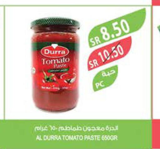 DURRA Tomato Paste  in Farm  in KSA, Saudi Arabia, Saudi - Al Hasa