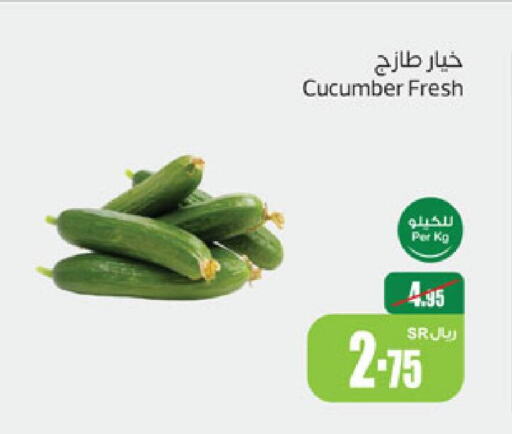  Cucumber  in Othaim Markets in KSA, Saudi Arabia, Saudi - Buraidah