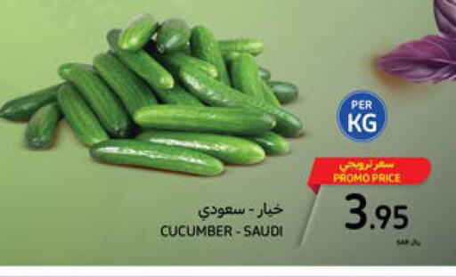  Cucumber  in Carrefour in KSA, Saudi Arabia, Saudi - Dammam