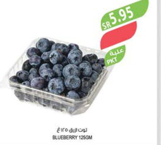  Berries  in المزرعة in مملكة العربية السعودية, السعودية, سعودية - تبوك