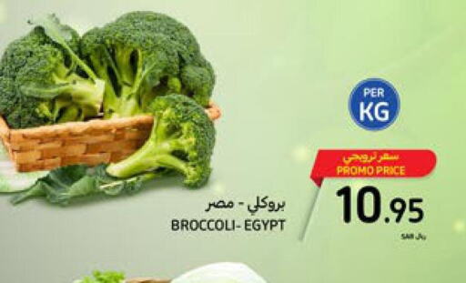  Broccoli  in كارفور in مملكة العربية السعودية, السعودية, سعودية - سكاكا