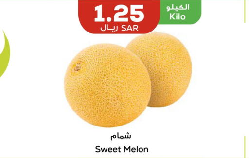  Sweet melon  in أسواق أسترا in مملكة العربية السعودية, السعودية, سعودية - تبوك