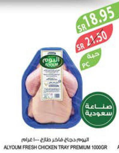 AL YOUM Fresh Chicken  in Farm  in KSA, Saudi Arabia, Saudi - Najran