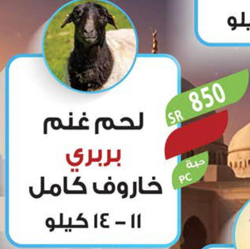  Mutton / Lamb  in المزرعة in مملكة العربية السعودية, السعودية, سعودية - سكاكا