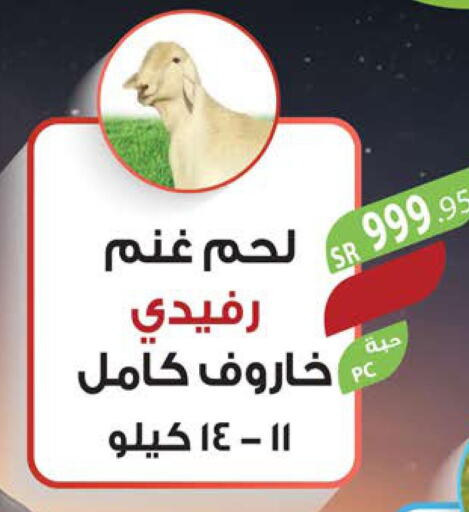  Mutton / Lamb  in المزرعة in مملكة العربية السعودية, السعودية, سعودية - الخرج