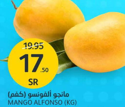  Mango  in AlJazera Shopping Center in KSA, Saudi Arabia, Saudi - Riyadh