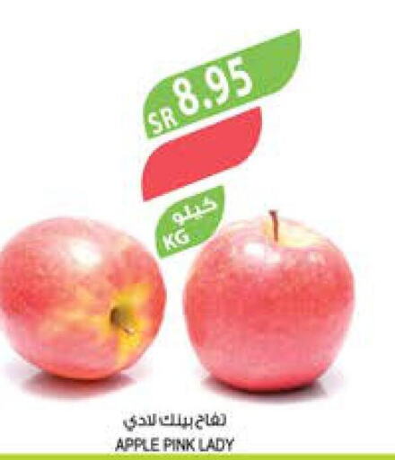  Apples  in Farm  in KSA, Saudi Arabia, Saudi - Riyadh