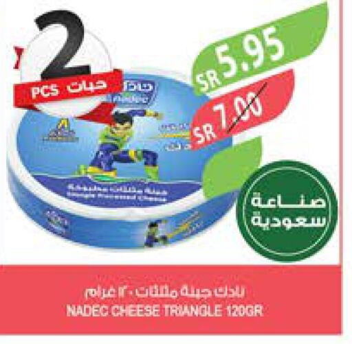 NADEC Triangle Cheese  in المزرعة in مملكة العربية السعودية, السعودية, سعودية - الباحة
