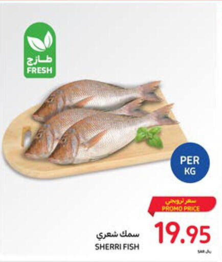  King Fish  in Carrefour in KSA, Saudi Arabia, Saudi - Dammam