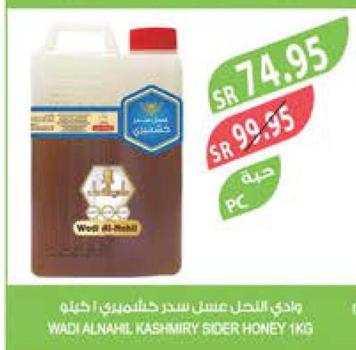  Honey  in المزرعة in مملكة العربية السعودية, السعودية, سعودية - عرعر