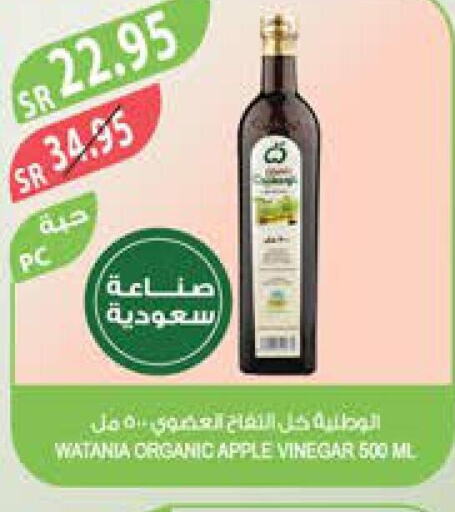  Vinegar  in Farm  in KSA, Saudi Arabia, Saudi - Najran