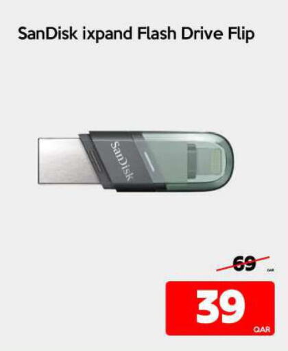 SANDISK Flash Drive  in آي كونكت in قطر - الشحانية