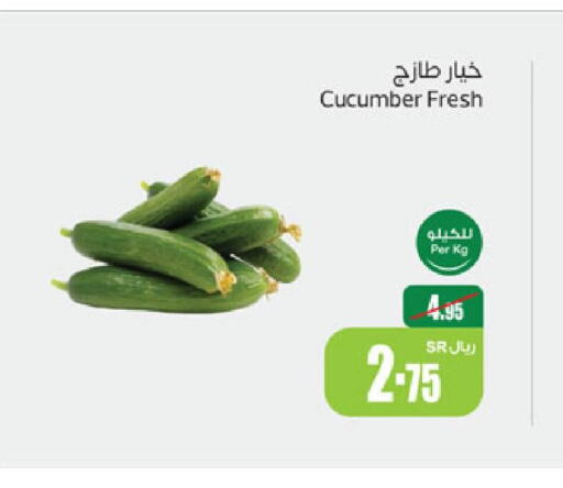  Cucumber  in Othaim Markets in KSA, Saudi Arabia, Saudi - Arar