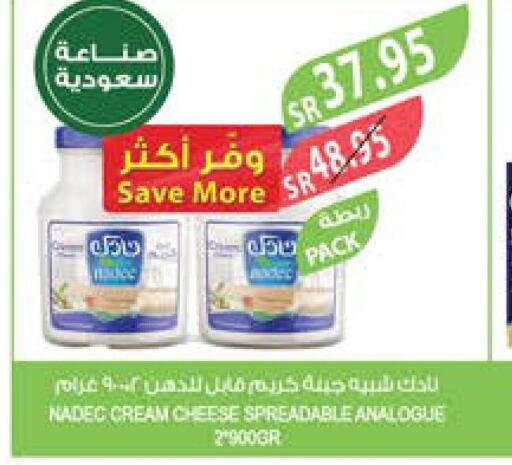 NADEC Cream Cheese  in المزرعة in مملكة العربية السعودية, السعودية, سعودية - سكاكا