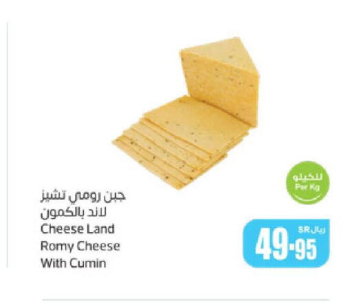  Roumy Cheese  in أسواق عبد الله العثيم in مملكة العربية السعودية, السعودية, سعودية - حفر الباطن