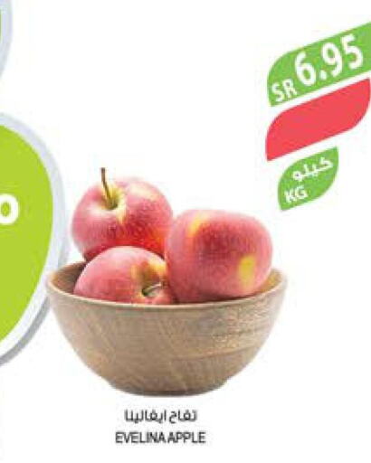  Apples  in Farm  in KSA, Saudi Arabia, Saudi - Riyadh